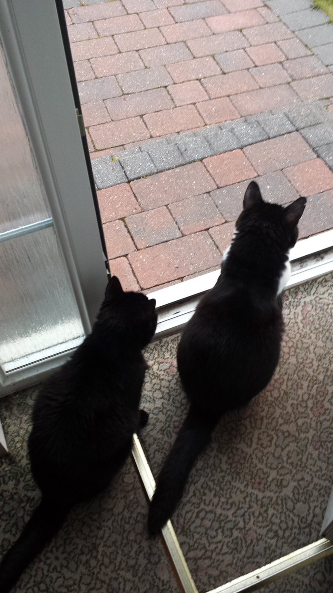 Happy Person tweet media