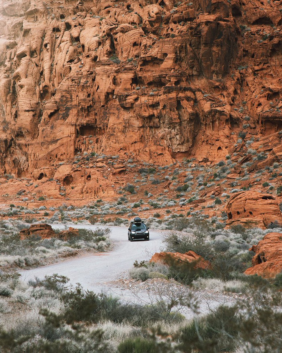 Eclipse Beverage tweet media