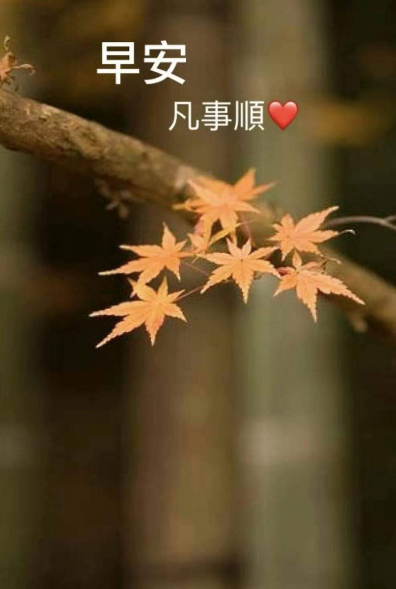 早晨好祝福语图片合集 最新早安问候语表情图片大全 朋友