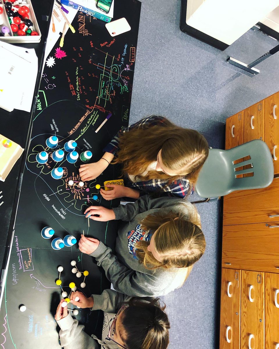 marcleblanceth's tweet photo. Some of my wonderful research students modeling cellular respiration in muscle cells👩🏼‍🔬💪🏼 @ChampeTweets https://t.co/y3IUKRe3BZ