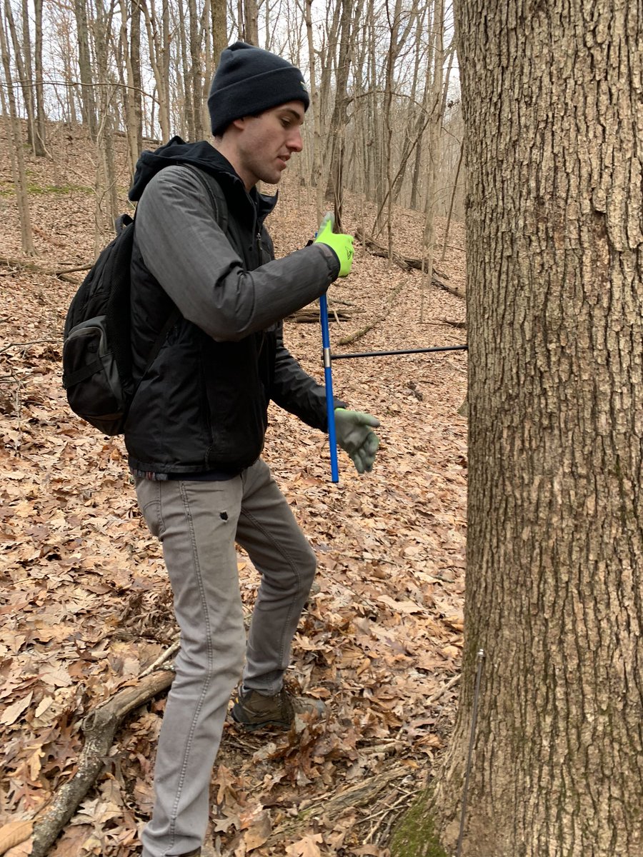 MRochner86's tweet photo. Another great, but tough (man, white oak sucks) and cold (20s) day sampling white oak #treerings for investigations of #urbanheatisland effects on tree growth and sensitivity #treeringresearch #undergraduateresearch #dendro https://t.co/CLYHl4Yzxp