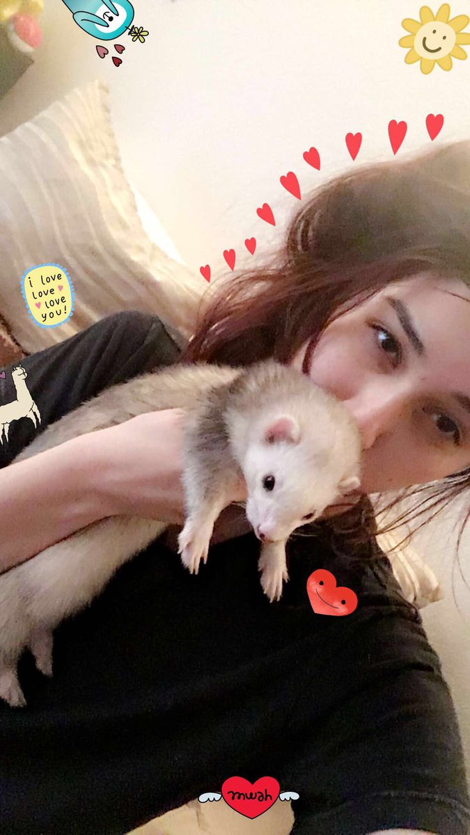 CallMeClaireee's tweet photo. A thread of Rosie bc I love her and I’m going to miss her and her sassy attitude 😔💞 https://t.co/y8m0EghJ0d