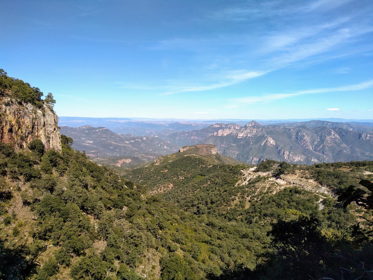 #Recuento2019
En el segundo semestre del año comenzamos a trabajar con <a href="/JINOR16/">JINOR</a> en la elaboración de una estrategia para el uso y conservación de los #bosques del pueblo Wixárika de Jalisco
Foto: D.Graf