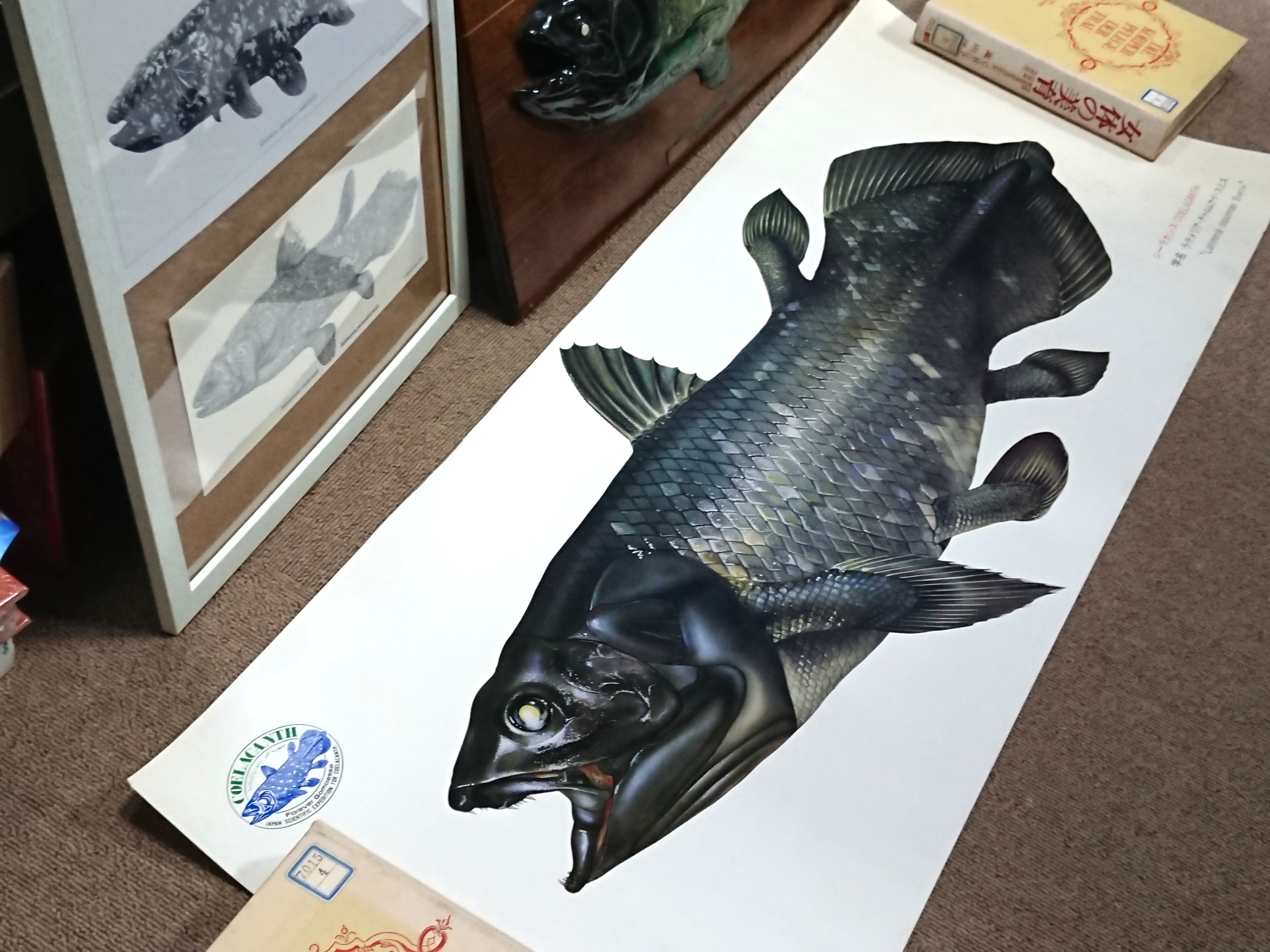 日本画「シーラカンス」 保証書付】 日本画「シーラカンス」 絵画 - 絵画