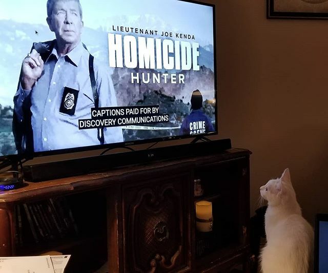 mikelynnshots's tweet photo. @stormielynnthecat loves watching @investigationdiscovery Homicide Hunter!
.
.
#thrivechurchva #loveGod #lovepeople #passiton #Jesus #blessedbygod #god #love #angel #buisness #motivated #warriorforGod #helpsomeouttodayrva #faith #soberissexy #soberwarrio… https://t.co/0cNpsRurW7 https://t.co/gOjySVvnPh