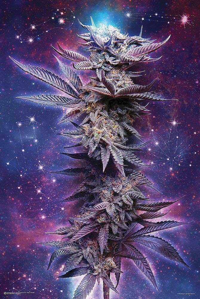 LuCkYDaDDa666's tweet photo. #GREEGRUB...
#WeedArt
#thcFAMILY https://t.co/1NBClQCJf4