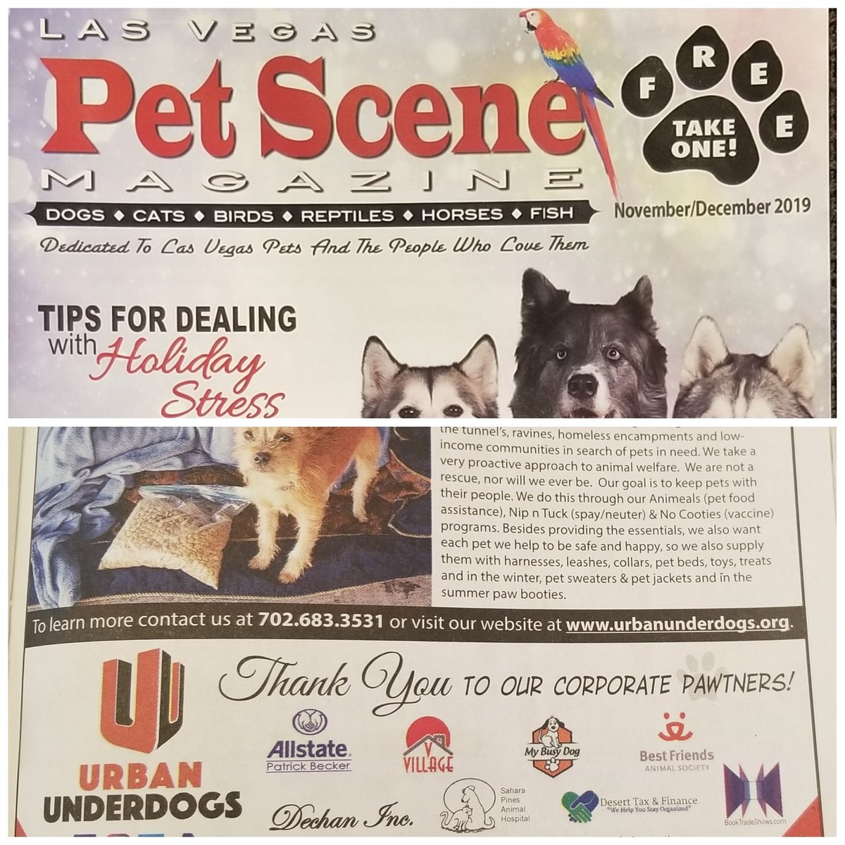 BookTradeShows's tweet photo. So proud to be a sponsor of the amazing Urban Underdogs. They were recently in the Pet Scene Magazine. Here is to an amazing 2020! https://t.co/zEQ6TBcO26