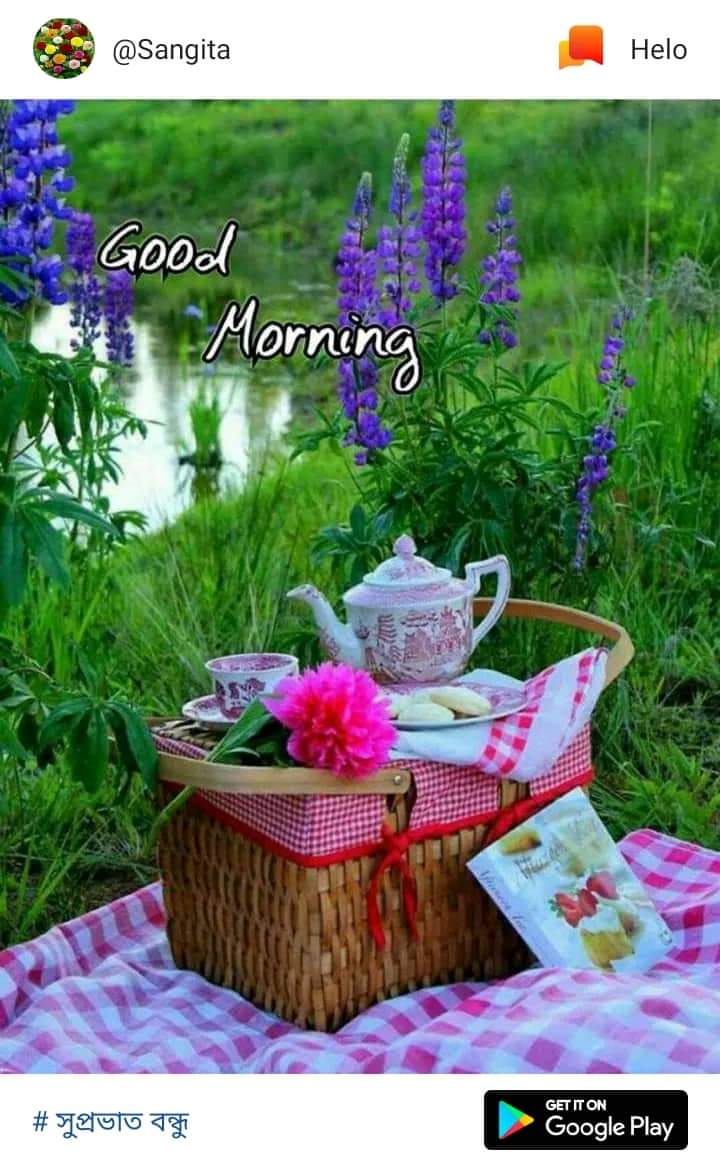 RpfSdah's tweet photo. @NELSONB99941542 https://t.co/MRujr5H5KP