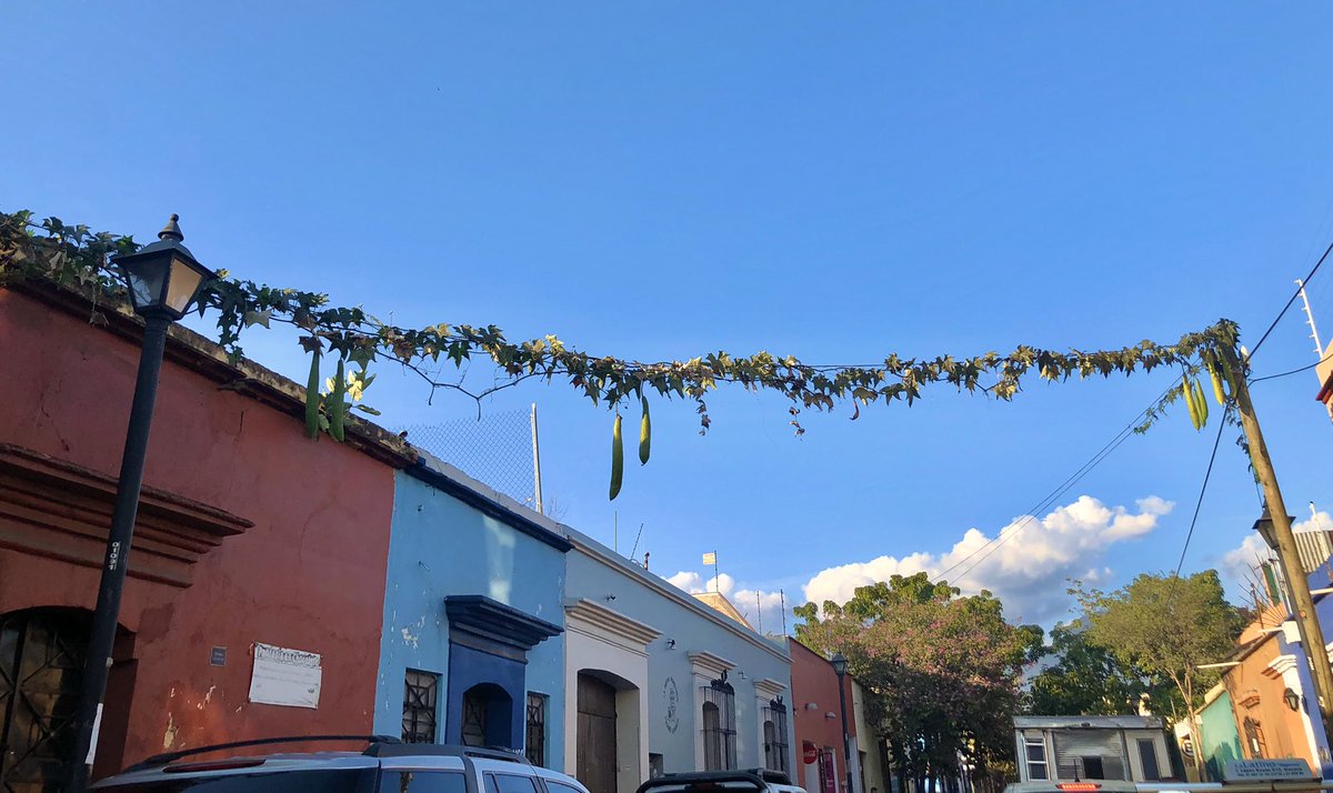 fcoronado's tweet photo. ¿Qué tanto conoces #Oaxaca? Da RT si sabes en qué calle fue tomada la foto. 👁: NO escribas la respuesta. 🤔💭 #FotoTrivia https://t.co/PdHtfbvtwz