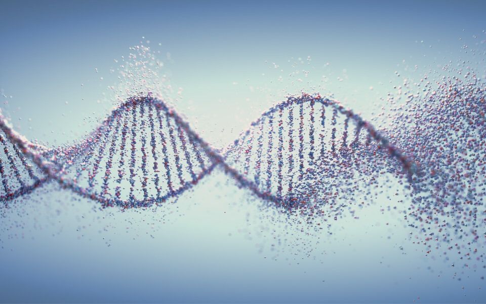 Do Genetics Affect Your Fear Factor? buff.ly/34FK2k9 <a href="/VosperJaneen/">Janeen Vosper</a>