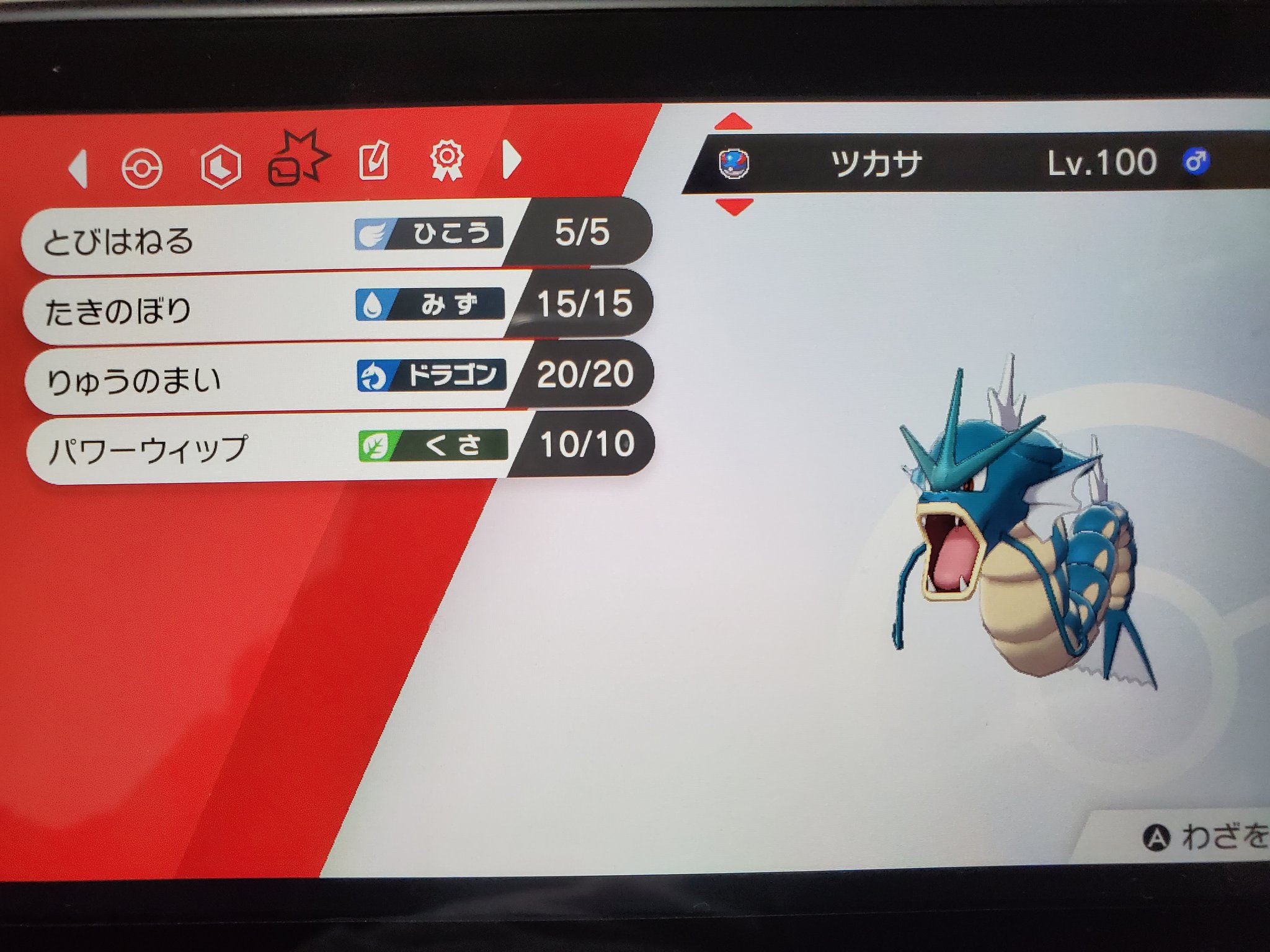 クマ ギャラドス ツカサ 環境に恵まれたことで 高確率で大暴れする抜きエース 一番ダイマックスしてる回数が多い 技範囲がめちゃくちゃ広く すばやさを上げたこいつをまともに止められるポケモンは弱点保険バンギくらい というか剣盾はタイプ一致