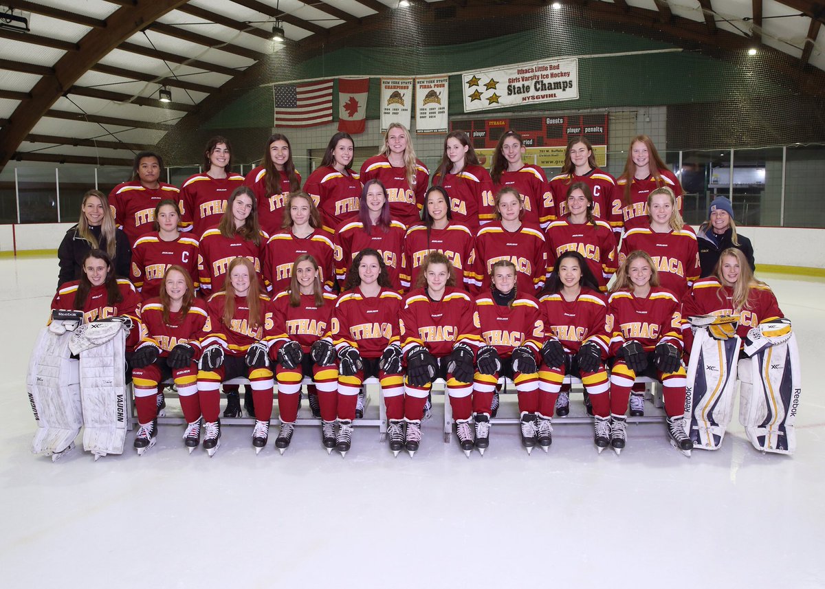 Our 2019-2020 team!!!