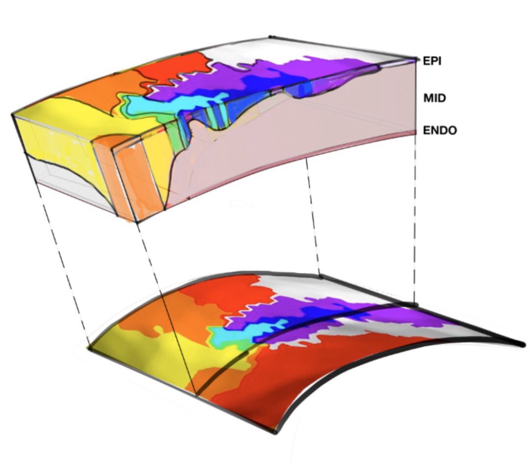 Something very exciting is brewing in the world of #VTin3D...😉