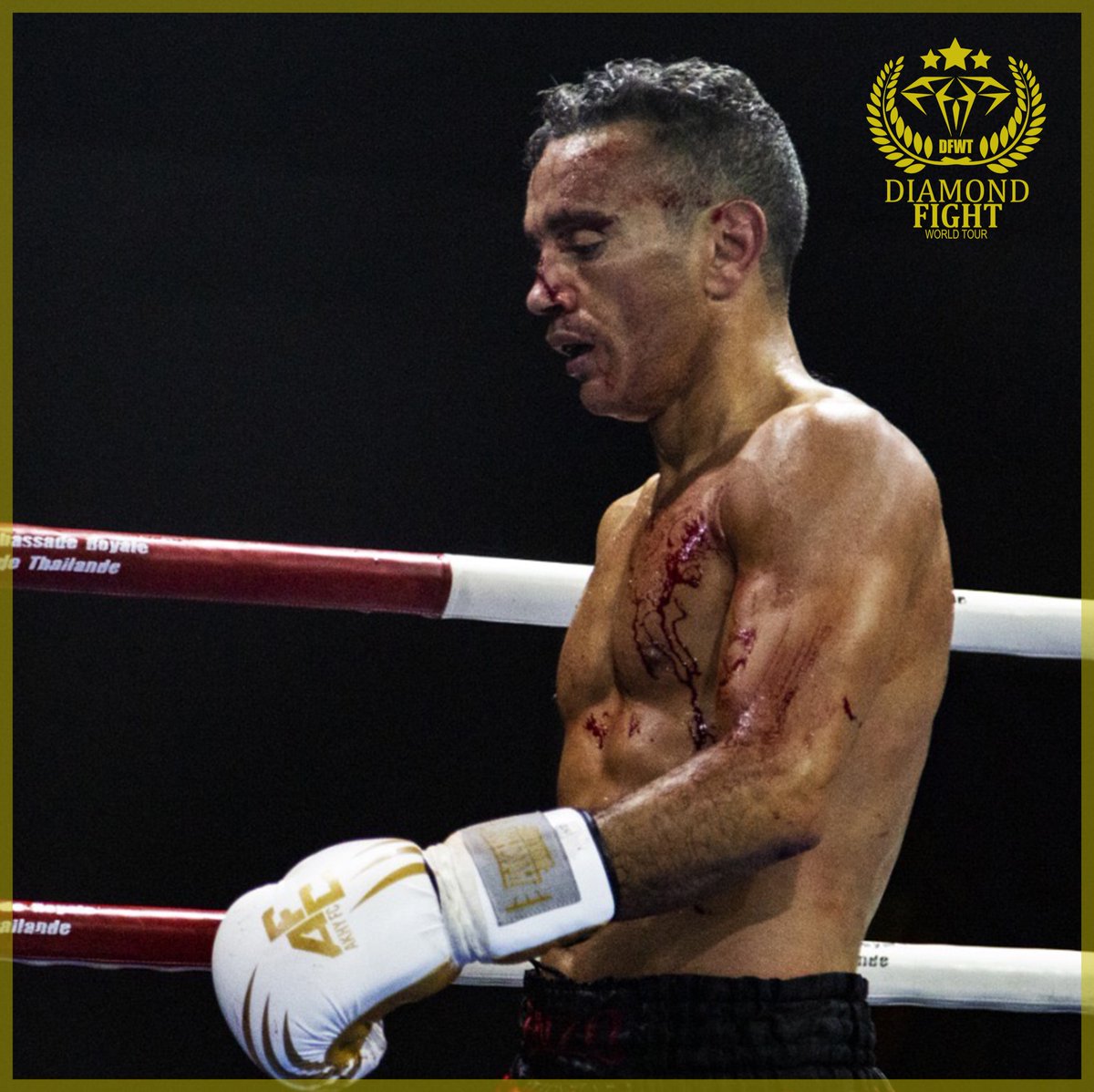 DiamondFight_WT's tweet photo. Totof, Guerrier parmi les Guerriers ⚔️ et Champion 🏆 du #DiamondFightWorldTour

#akhy #Legende #MuayThai #MuayThaiChampion #Championship #OldSchool https://t.co/fYRz5kQkDM