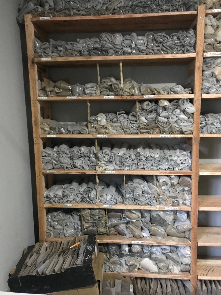 Force_ASX's tweet photo. Storage of the samples prepared at Force's offices to be sent to SGS Australia Pty Ltd's facilities.

#4CE https://t.co/V2KzUNuHnY