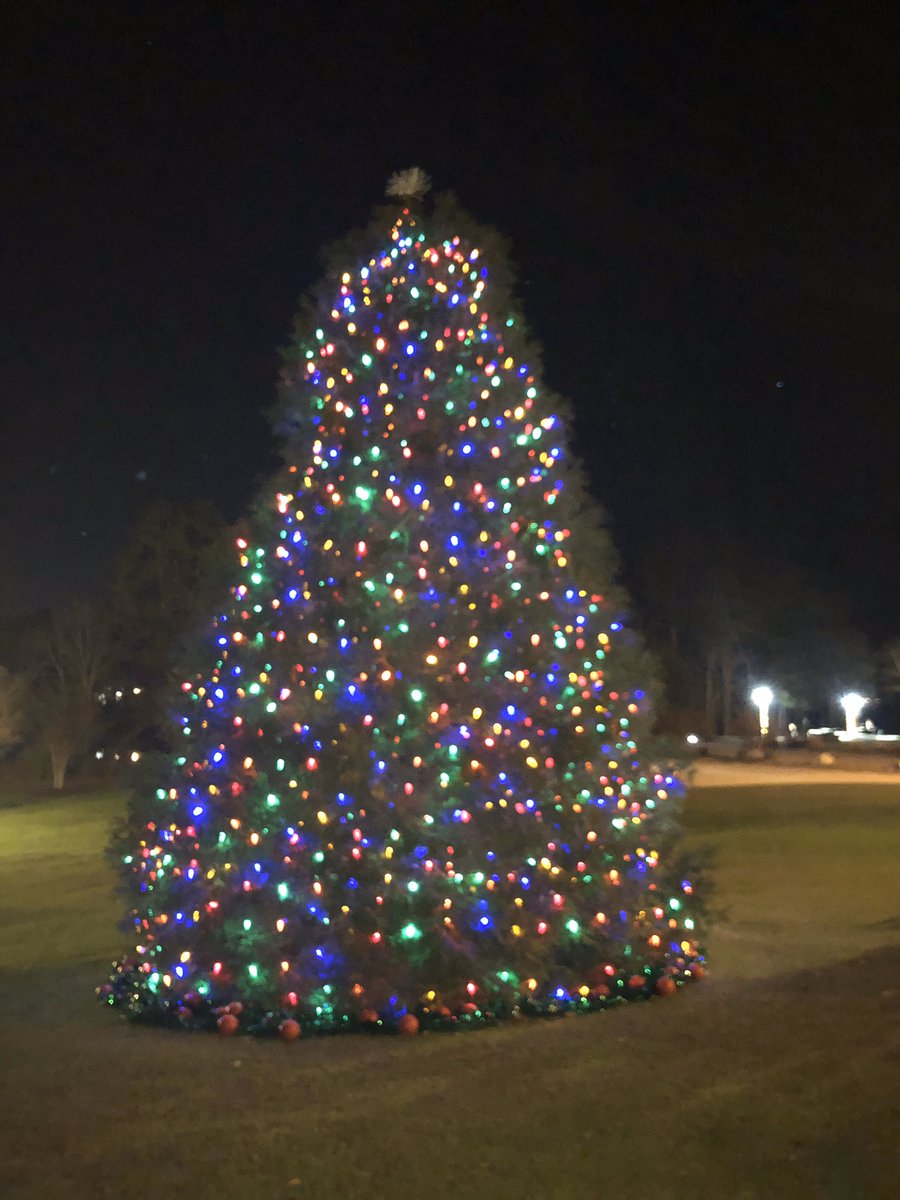 JimQualls's tweet image. It’s hard to find steps to run in this town, but I’ve been finding every one I could and stacking them up.  #TakeCareOfYourself #nottoocold #nohibernating