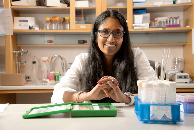OrthoFeed's tweet photo. Bone Bandage Soaks Up Pro-Healing Biochemical To Accelerate Repair https://t.co/SFuSCERIUu @DukeEngineering #BoneGrafts #BoneRepair #ImplantCoatings #MedTech #orthopedics #orthopaedics #research https://t.co/nfMqzfuUXz