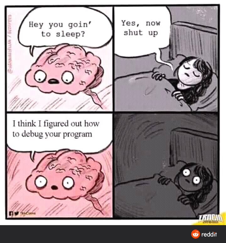 Trying to sleep, and brain says - hey, you awake? *Bleary eyes* I figured out how to debug your program *wide awake*