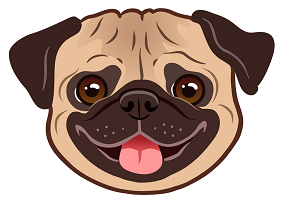 Kurt Rohloff tweet media