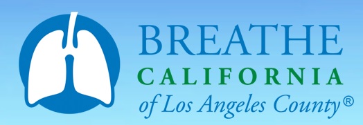 YPE Los Angles tweet media