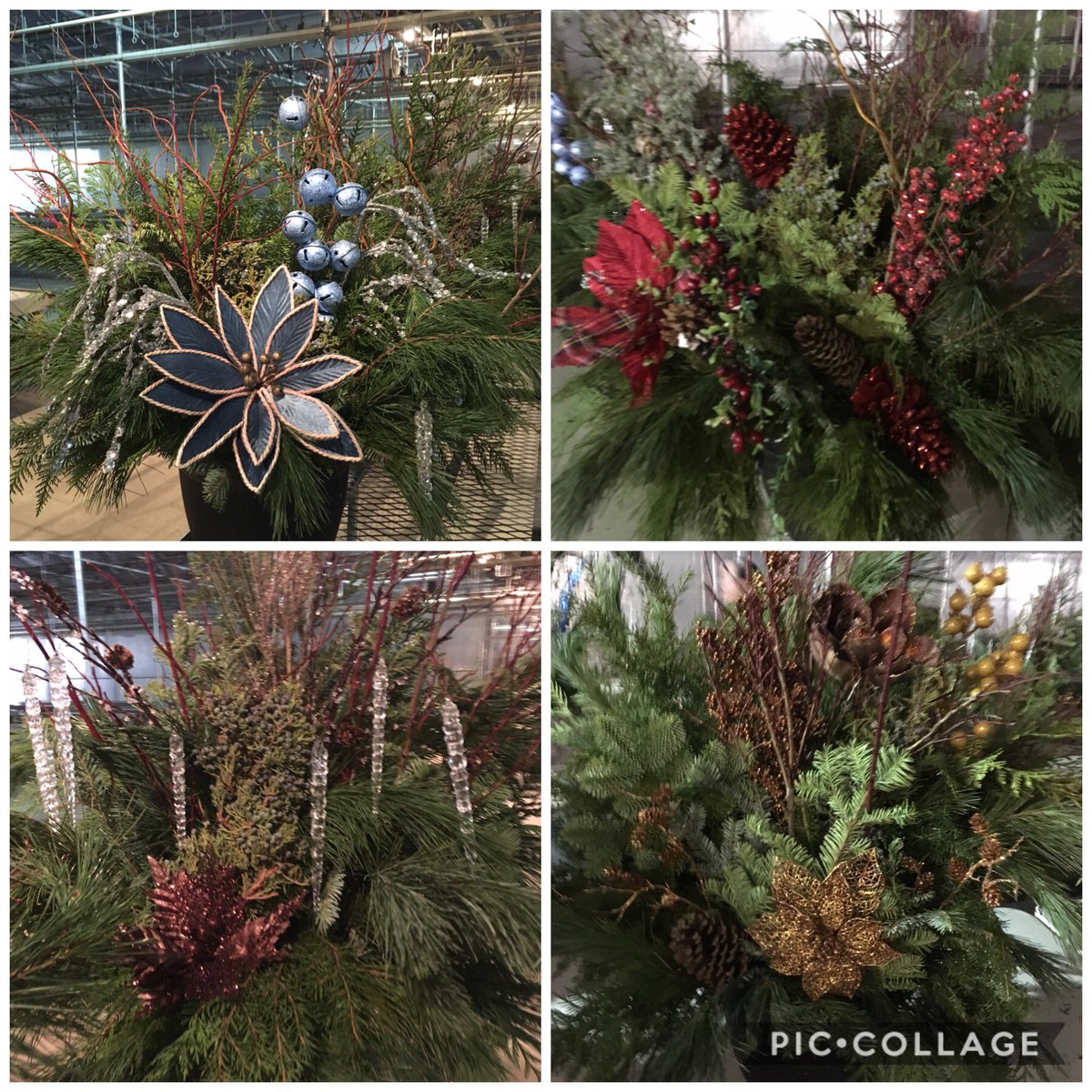 IRECPreK's tweet photo. Our @IREC1 @WCPS72 #PreK team celebrating the festive season together @bluegrassrd, creating “Holiday Porch Planters!” Grateful beyond measure for the collaborative spirit, energy, effort, &amp; love each team member brings into the classroom each &amp; every day ❤️ @IRECKinders https://t.co/FnBxveFYsI