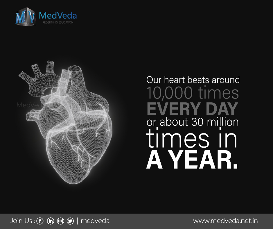 Our #Heart, beats around 10,000 times every day or about 30 million times in a year.
#sciencefact #curious #completeanatomy #3Dmodels #med #3D #3Danatomy #medtech #anatomy #education #students #AR #VR #animation #medical3danimation #Medicaleducation #Medveda #medicalstudent