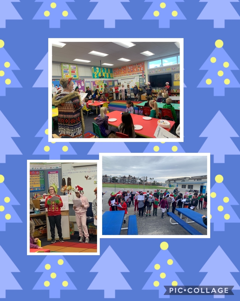 Hollywood Bch School tweet media