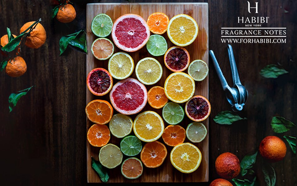 HabibiNewYork's tweet image. Fresh citrus was once given as gifts to Kings as they were so rare
Visit Now: forhabibi.com
#freshcitrus #fruitynotes #fragrancenotes #topnotes 
#citrus #bestingredients #Habibi
