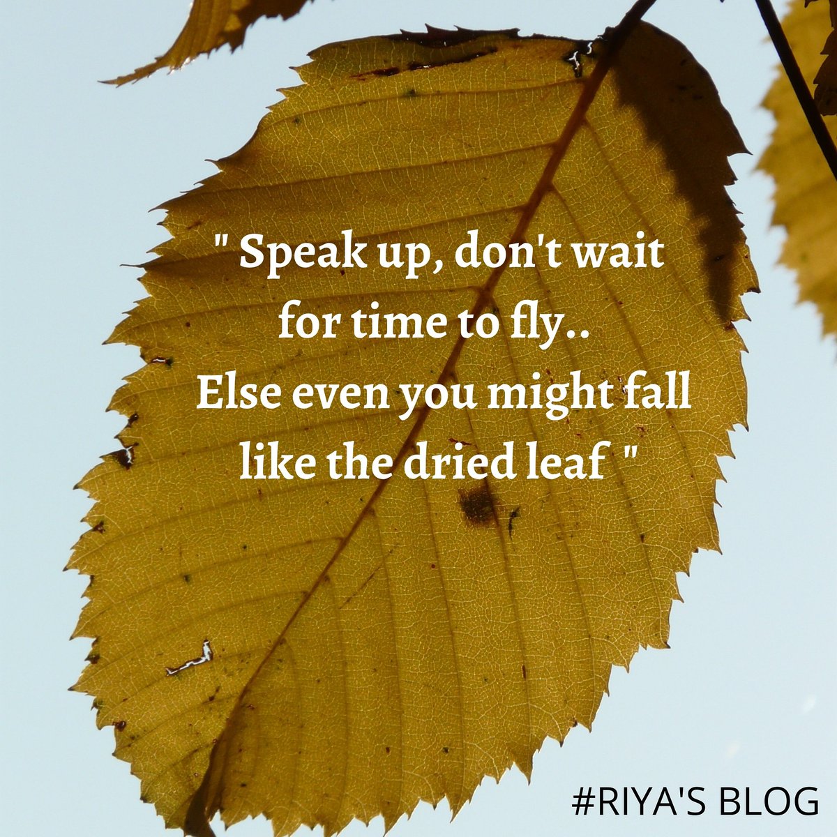 rriyajain26's tweet photo. Speak up, don't wait for time to come.. 
#riyasblogs #bloggerstyle #bloglife #blogging #blogs #bloggingcommunity #blogg #writingcommunity #writerscommunity #writings #writinginspiration #writinginspiration #readers #readersofinstagram #bloggerlife #quotes #MotivationalQuotes https://t.co/KluKoXBgOP