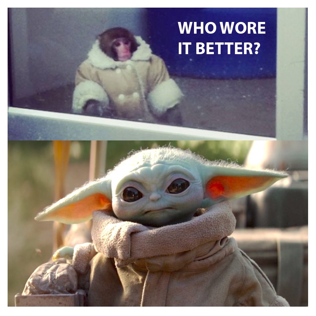 uncleguppy's tweet photo. #babyyoda https://t.co/s2YWnLX8mt