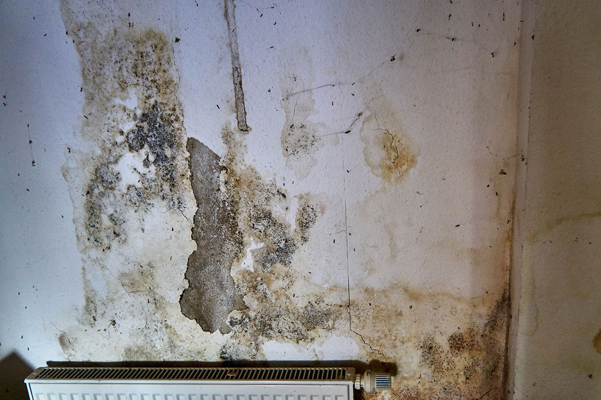 Around 10 million people in England will spend winter in ‘non-decent’ homes, research finds dlvr.it/RLYv4S #ukhousing