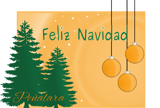 PenalaraSoft's tweet photo. 🎄 Peñalara Software les desea una ¡Feliz Navidad y un Próspero Año Nuevo! 🎄 https://t.co/YtDNfm4eWW