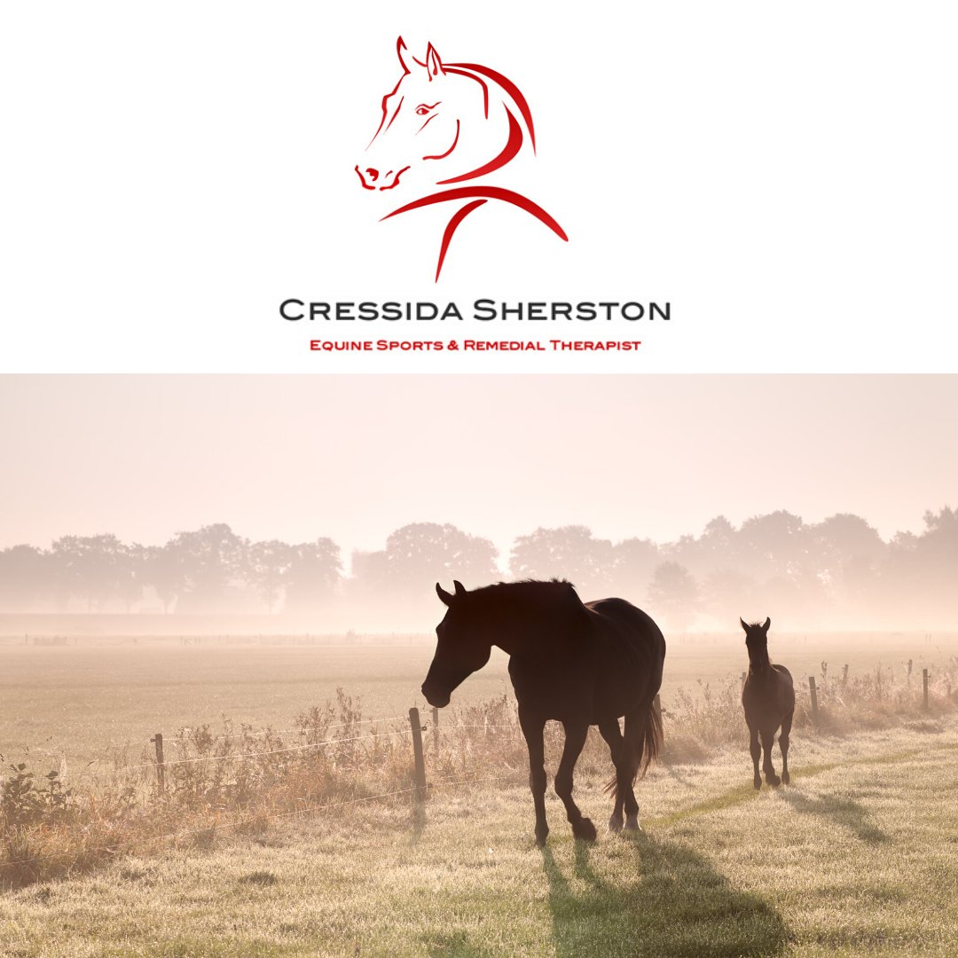 smooth_websites's tweet image. Cressida Sherston Branding
-
soo.nr/XbBH
-
#equestrianlife #equestrianstyle #equine #instahorse #equestriansofinstagram #equestrians  #design #graphicdesign #marketing #brand #logodesign #brandidentity #graphicdesigner