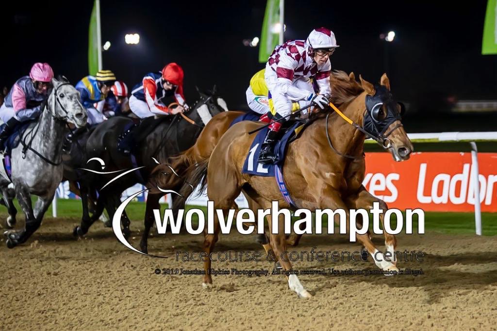 DarrenBirdie's tweet photo. Still buzzing from her last visit to @WolvesRaces - Wishing our girl #Sepahi & @GraceMcentee all the very best of luck tonight for @SpillerRacing & all the fab members of the @BirdieRacing 🙌 https://t.co/yApZ1tCWtl