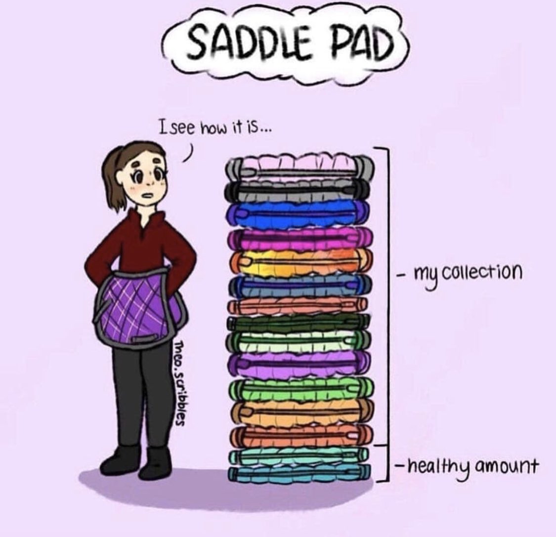 There‘s no such thing as “too many” saddle pads! 

Credit to Theo.Scribbles Instagram for the art work!

#tackroom #horsechat