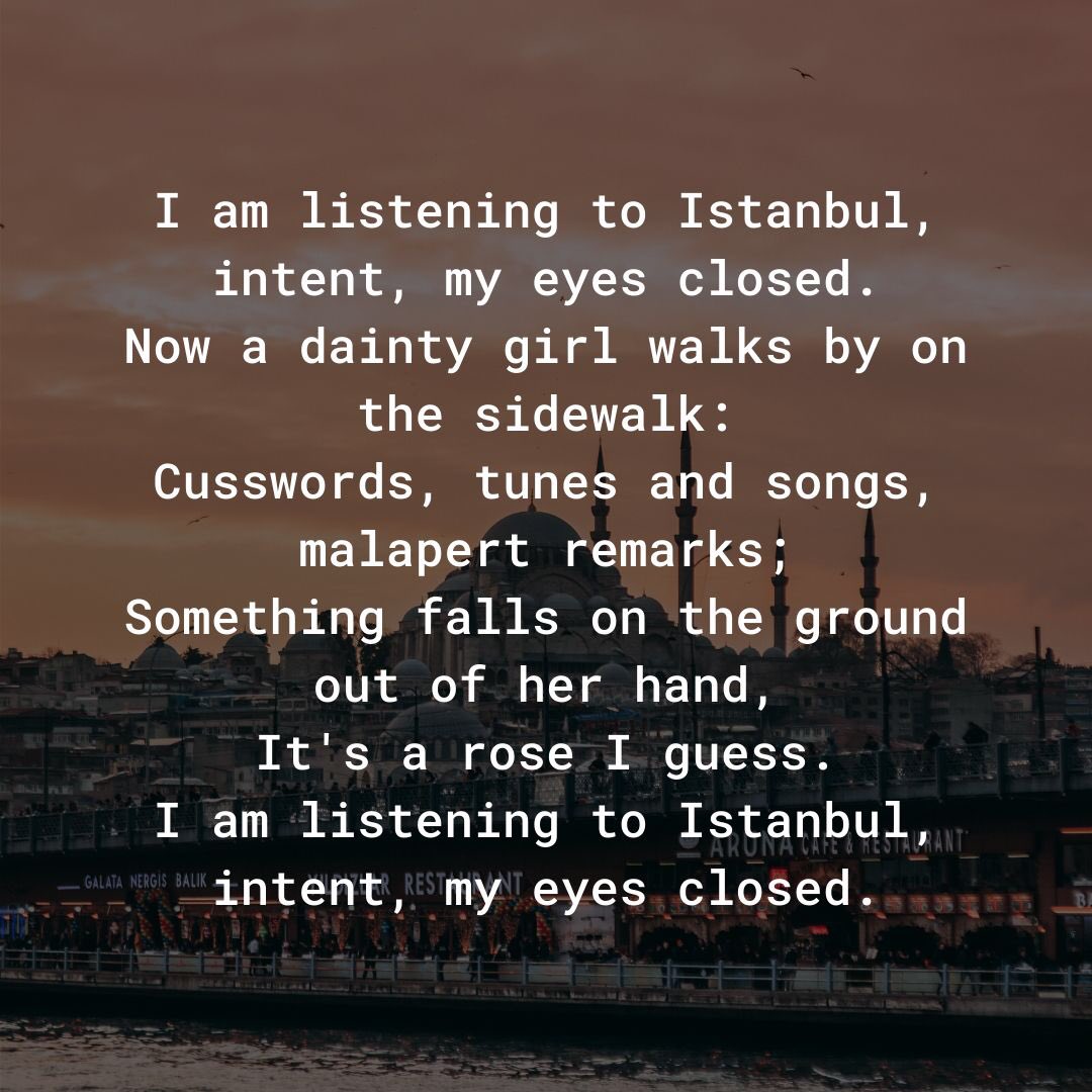 Try Indigo tweet media