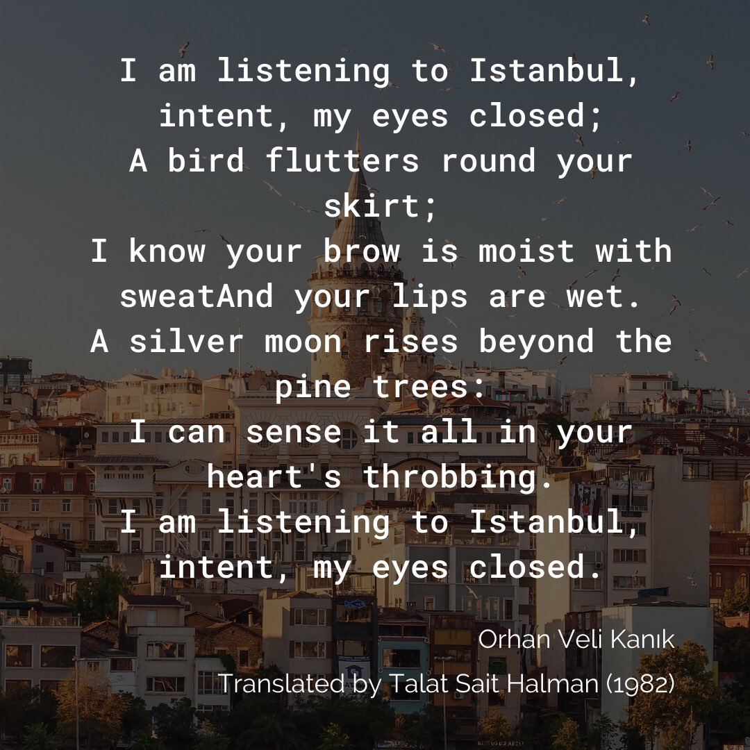 Try Indigo tweet media