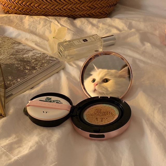 VT_cosmetics's tweet photo. 가벼운 베이지 커버 베이스에
촉촉 핑크 수분 베이스와
톤 정돈 그린 진정 베이스의 환상적 콜라보💗
Photo by. @ especialbk

말하기 입 아픈 BEST 시카 쿠션 리필세트가
오늘까지만 32,000원 ▶ 19,200원 😱
👉🏻https://t.co/ORITUfbdN1

Oh, I think the LOVELY cat likes this, too ˃̵ᴗ˂̵ https://t.co/gBHDUmLUHu