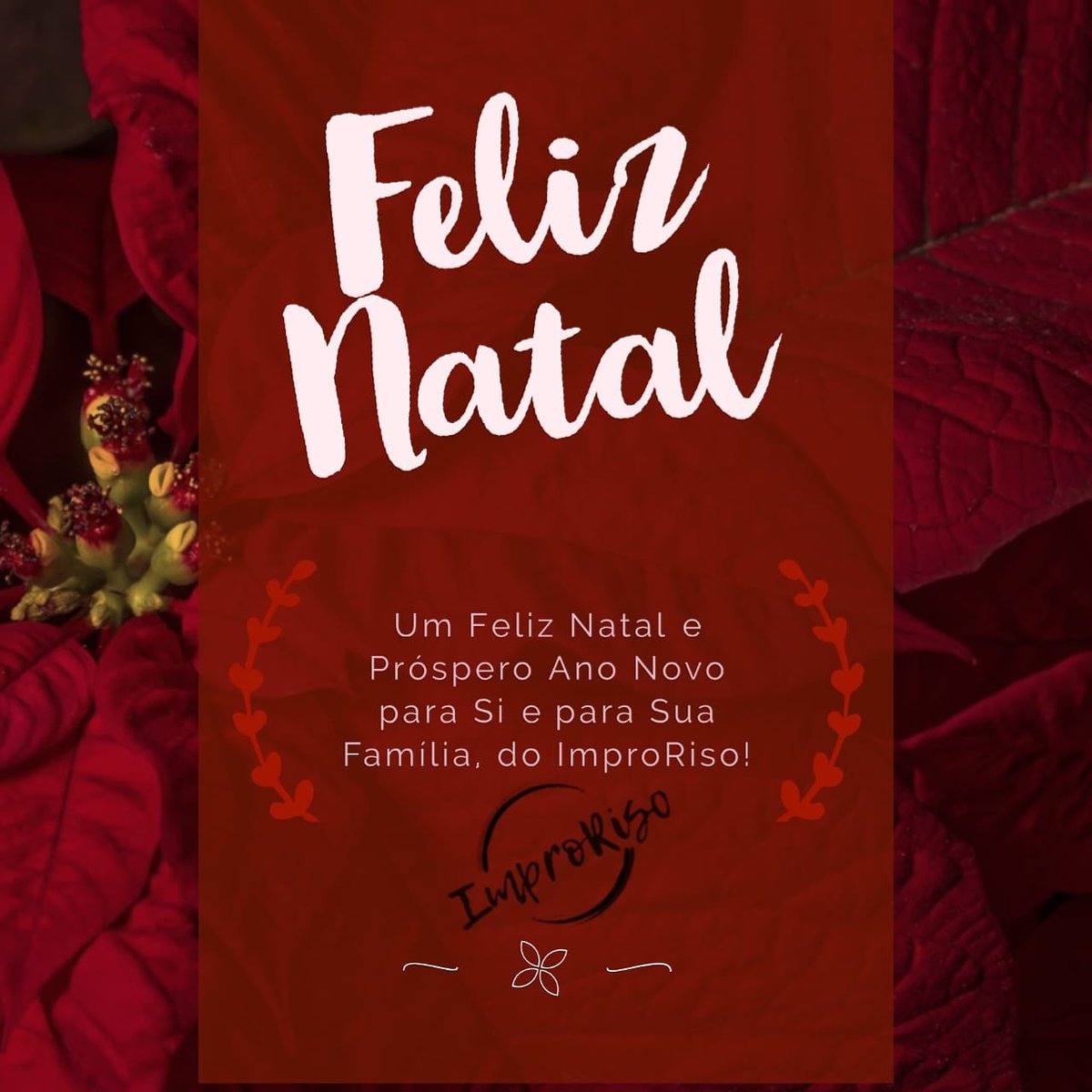 ImproRiso Moçambique tweet media