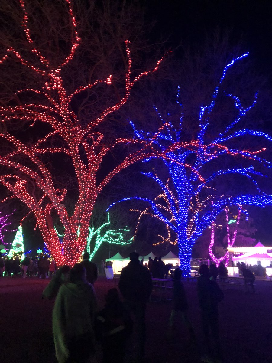 LGPilkington's tweet photo. So happy to celebrate the holidays with my Austin Xero family at our special holiday XeroHour! Extra thanks to Helen for braving the “cold” and seeing the Austin Trail of Lights with me! #xero https://t.co/1SqN8aV0zz