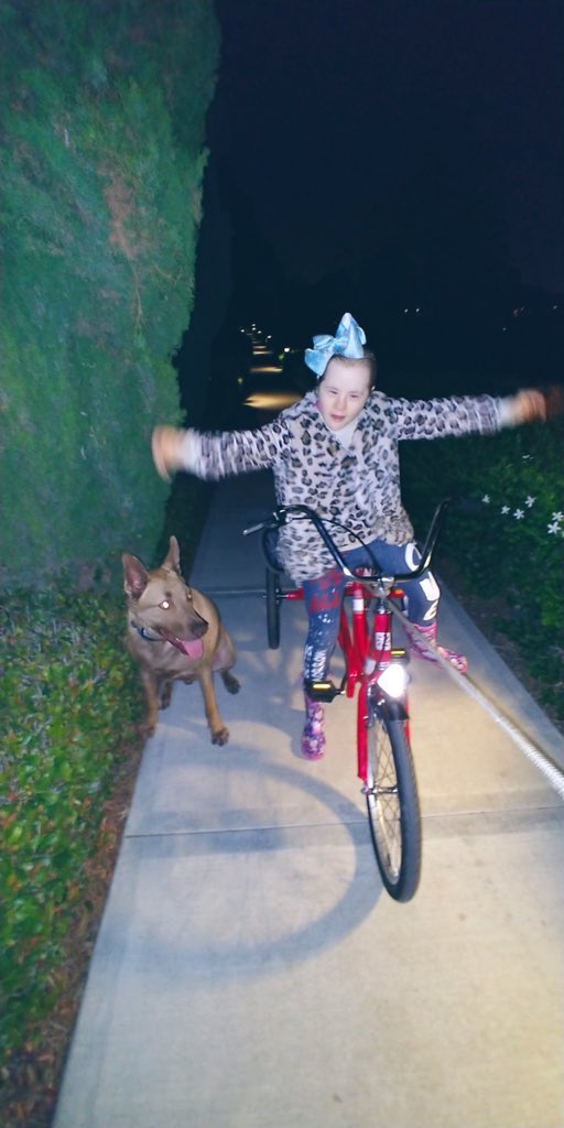 JulienneHansen2's tweet photo. @coraxdan Our Sevice
#Schutzhund 
#DuthShepard
Guide &amp; Guardian to:
RoyalAlice who daily climbs
#ClimbingMt.Kilimanjaro
#acceptance
Yes🙌💥🙌
@ShekCheck you will Love ❤️ https://t.co/8thckNOe6R