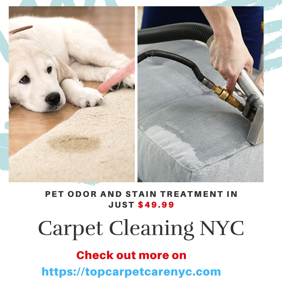 Looking for the Pet odor and stain treatment in NYC? We at Carpet Cleaning NYC bring special offer for our customer, at the cost of $49.99. 
Call us today at (917) 831-4478 as this offer is limited for a short period.
