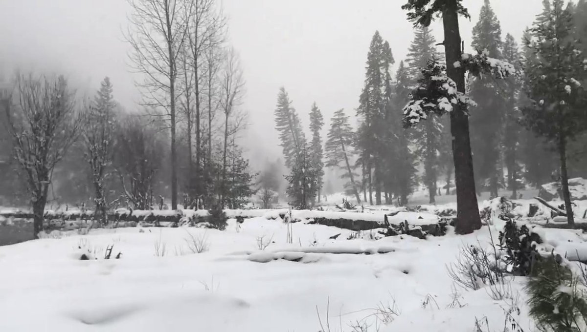 kumratvalley's tweet photo. #snowfall2019 at #kumratvalley Dir Upper KP, Pakistan. https://t.co/wNRTeVjANc
