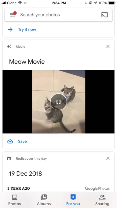 Thank u Google Photos for generating the nth Meow Movie this yr (this is the only movie it generates for me) 