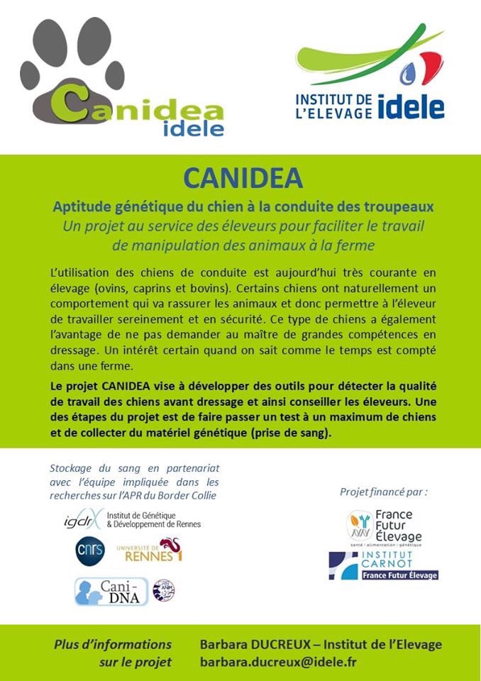 LaurentJournaux's tweet photo. Le projet #Canidea mis en oeuvre dans le cadre du @Carnot_F2E et conduit par @idele se poursuit nous recherchons des propriétaires de chien de conduite de troupeau pour participer aux prochains tests https://t.co/0dXXiHaknF
