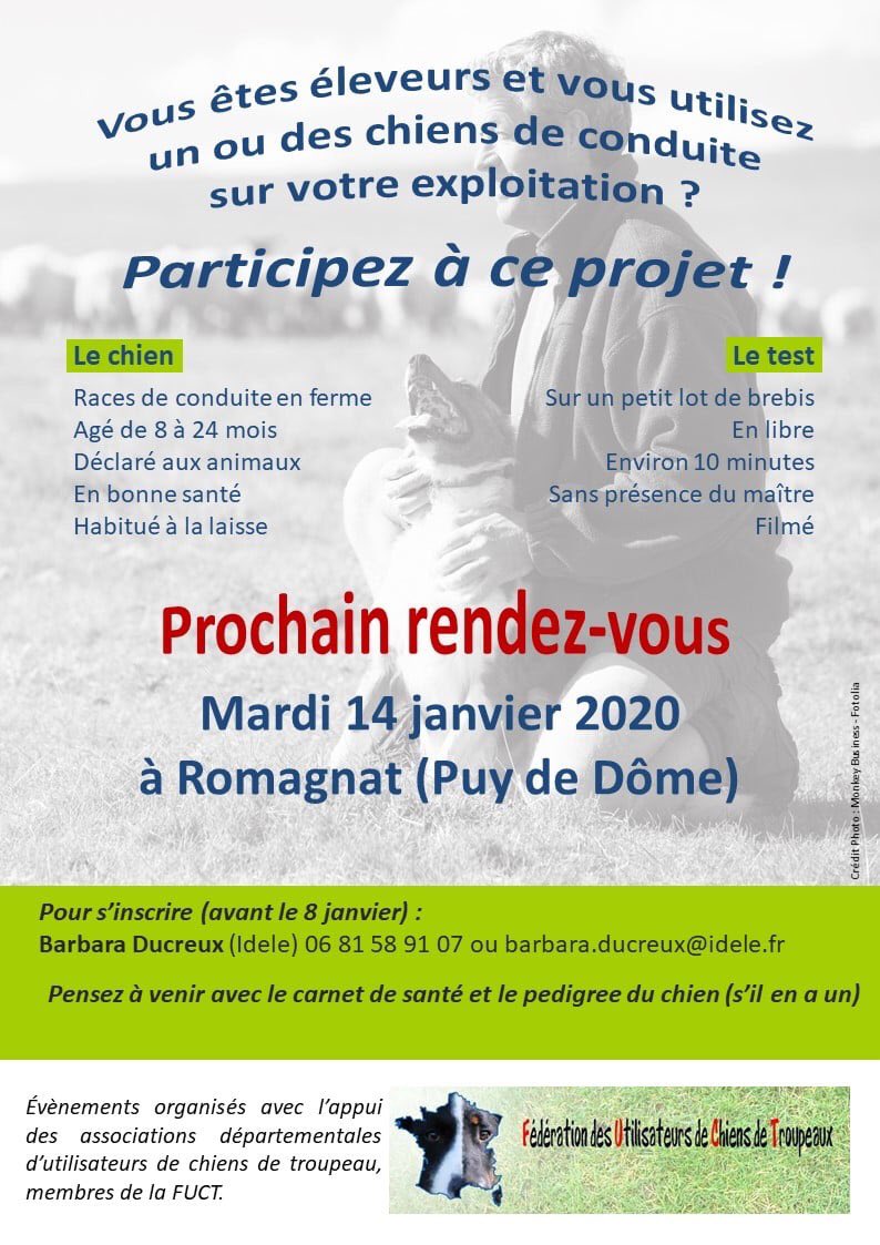 LaurentJournaux's tweet photo. Le projet #Canidea mis en oeuvre dans le cadre du @Carnot_F2E et conduit par @idele se poursuit nous recherchons des propriétaires de chien de conduite de troupeau pour participer aux prochains tests https://t.co/0dXXiHaknF