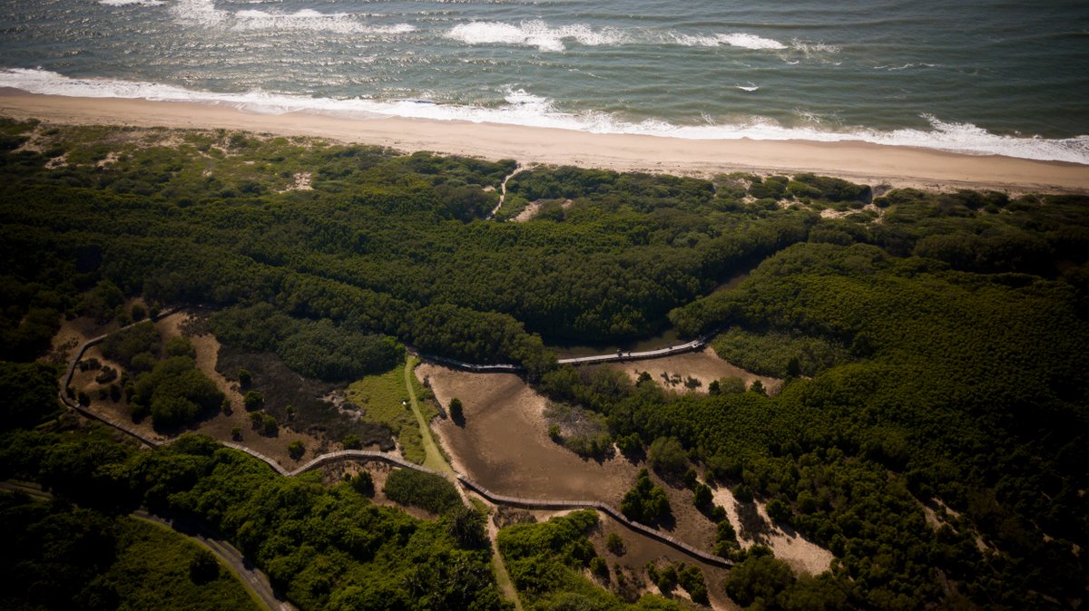 Green_Corridors's tweet photo. Some of the "Not to be missed" Experiences in Durban. 

Book now:
https://t.co/ODCqJlqo6U

#Durbanhasmore #ThursdayThoughts https://t.co/UtvZnqgqw2