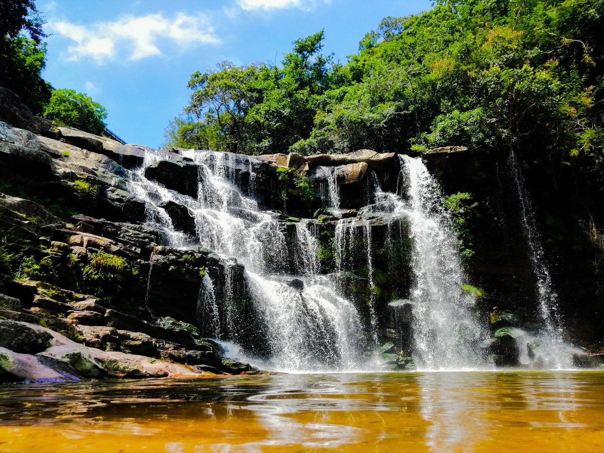 Green_Corridors's tweet photo. Some of the "Not to be missed" Experiences in Durban. 

Book now:
https://t.co/ODCqJlqo6U

#Durbanhasmore #ThursdayThoughts https://t.co/UtvZnqgqw2