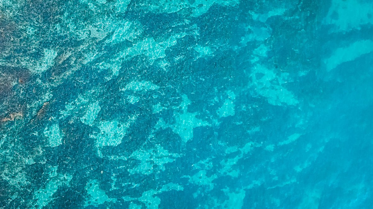 Marbella es un toque de color para los días grises😉 #Felizjueves

Marbella is a touch of colour for grey days! #HappyThursday

🏝 turismo.marbella.es/vive-marbella/… 

#Marbella #Marbellaestudestino365 #MarbellaTurismo #Andalucia #sea #mar #mediterráneo #MarbellaLifestyle #beach #playa