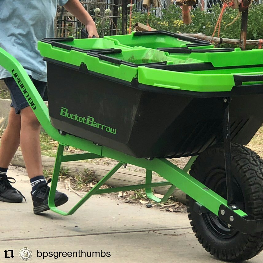 BucketBarrow's tweet photo. #Repost @bpsgreenthumbs
• • • • • •
Today preps gained their wheelbarrow licence by using the #URBAN88. Students had to manoeuvre a wheelbarrow through a course to show their skills and how to manage a wheelbarrow safely.
#wheelbarrowlicence #bucketbarrow #urbanag #fun https://t.co/nqunMACABw